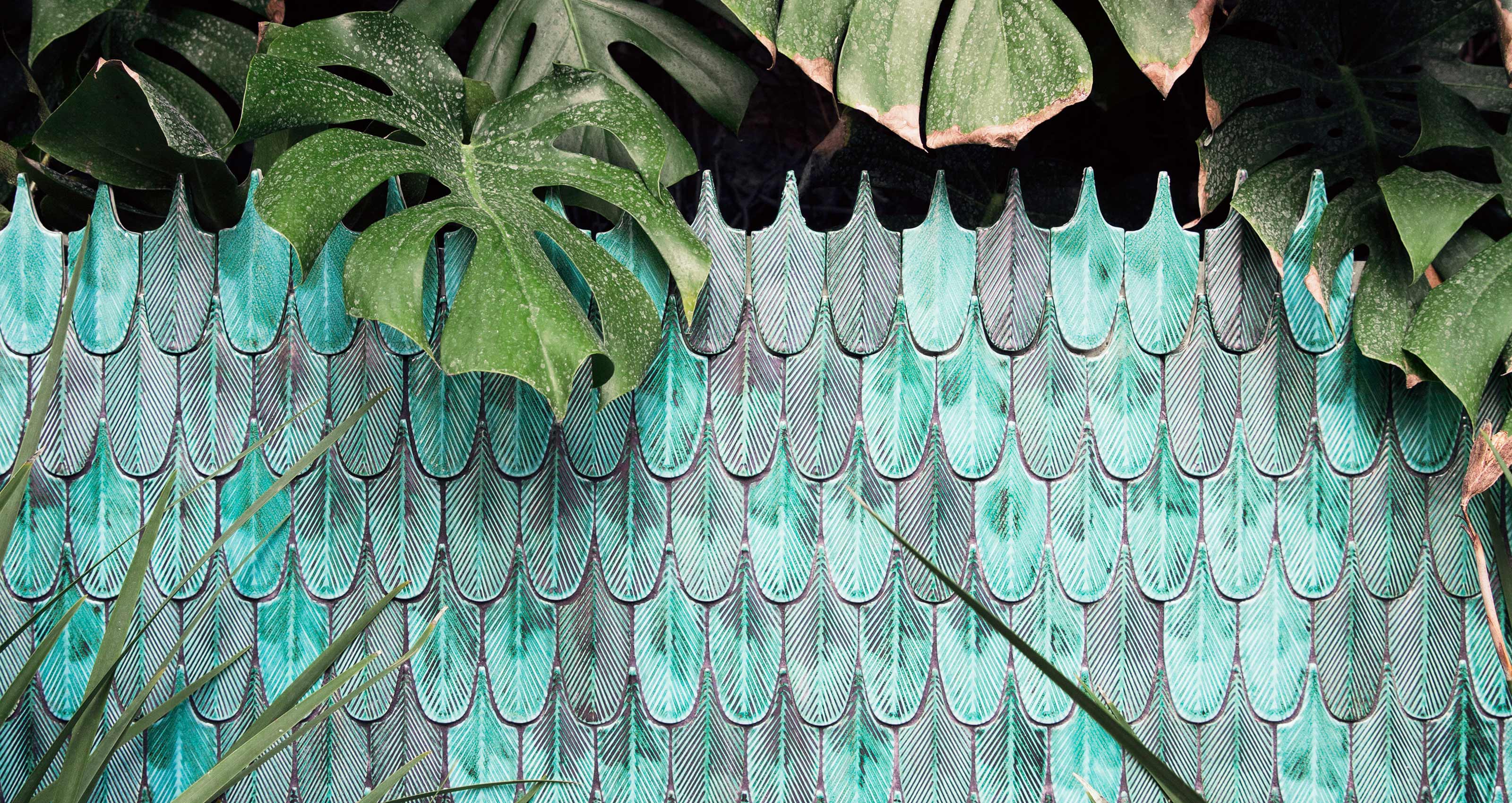 Cristina Celestino, Plumage