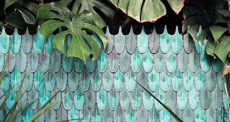 Cristina Celestino, Plumage