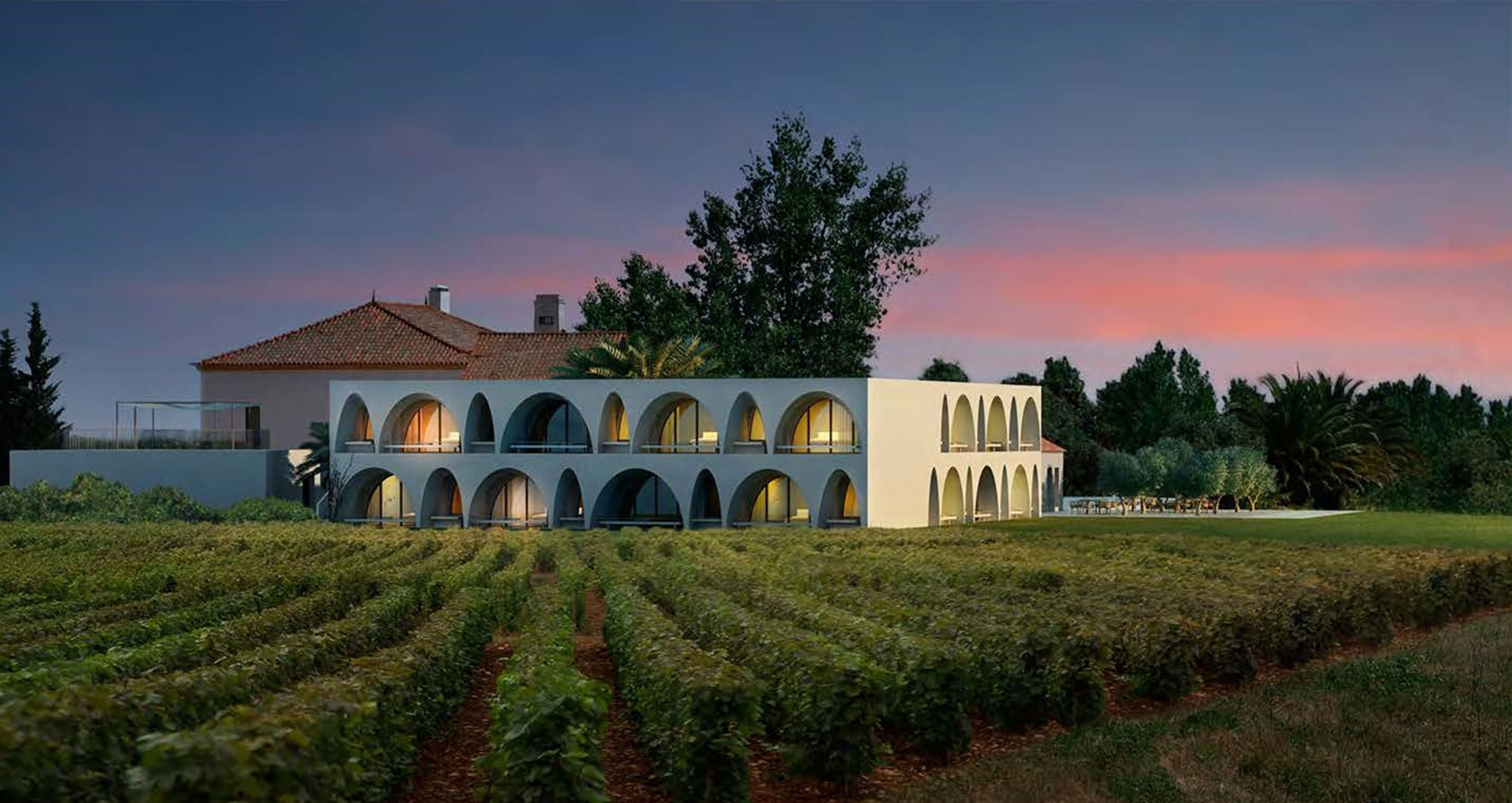 Alentejo Vineyard, Lisbon