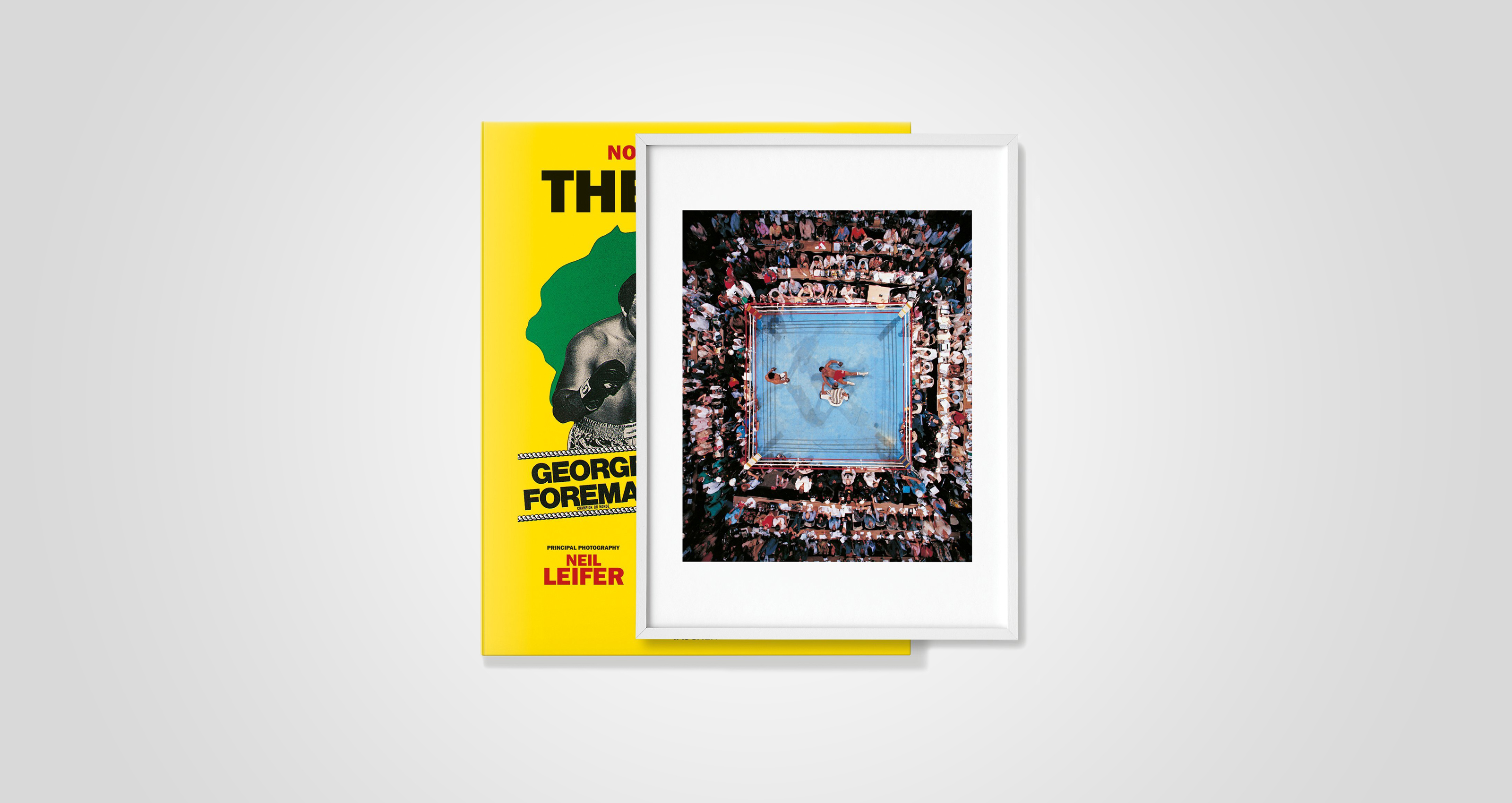 The Fight, Art Edition