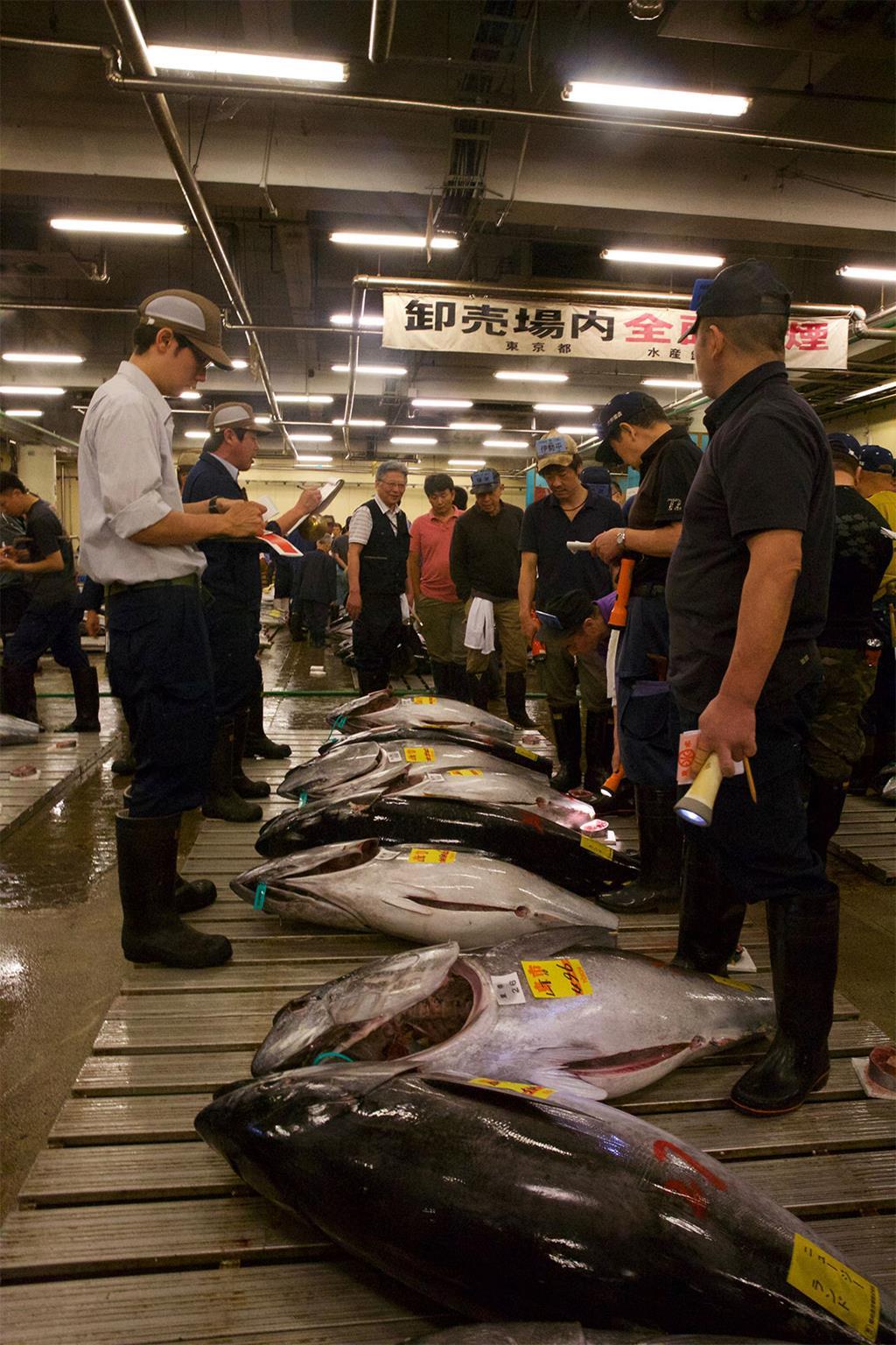 Tsukiji fish market