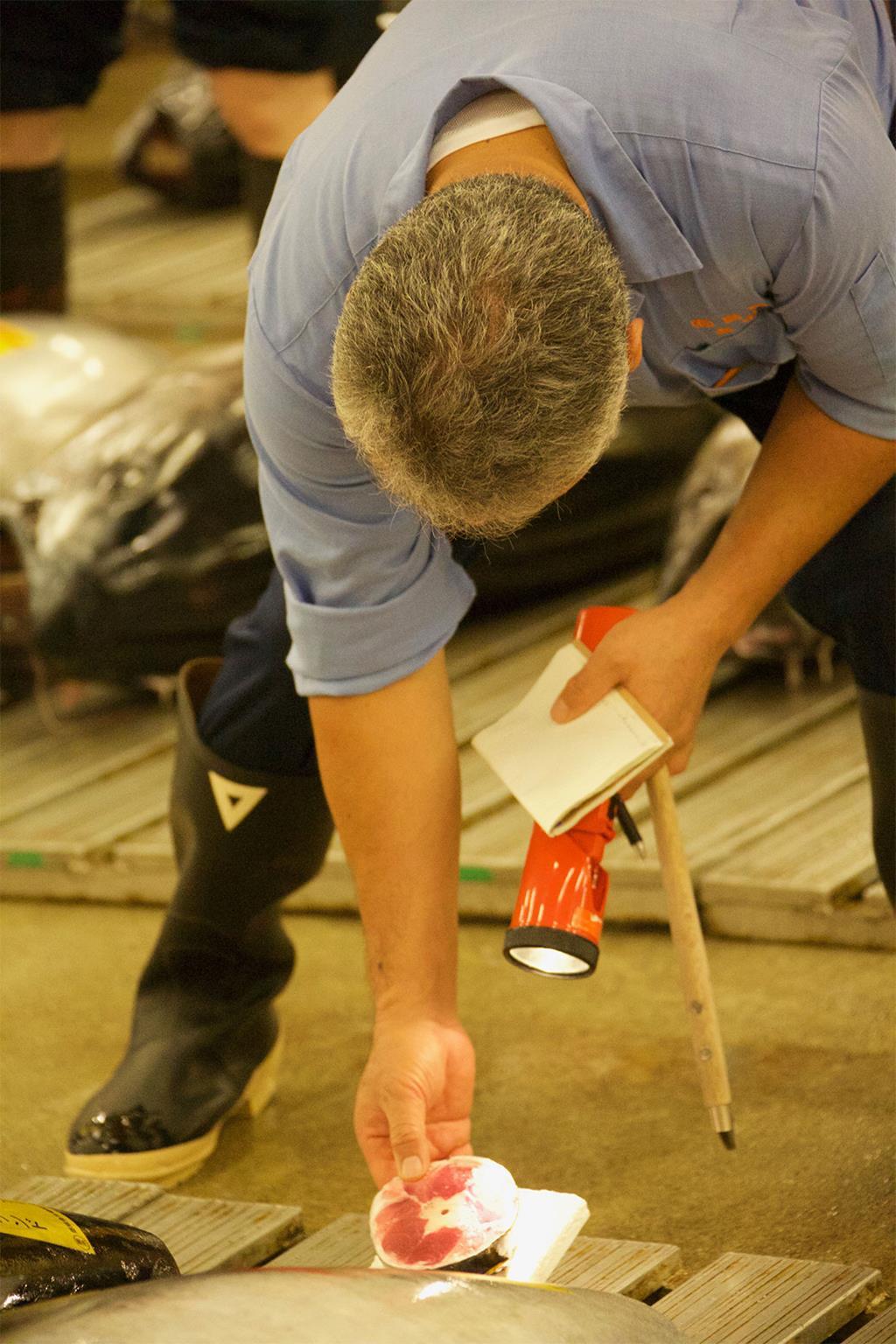 Tsukiji fish market