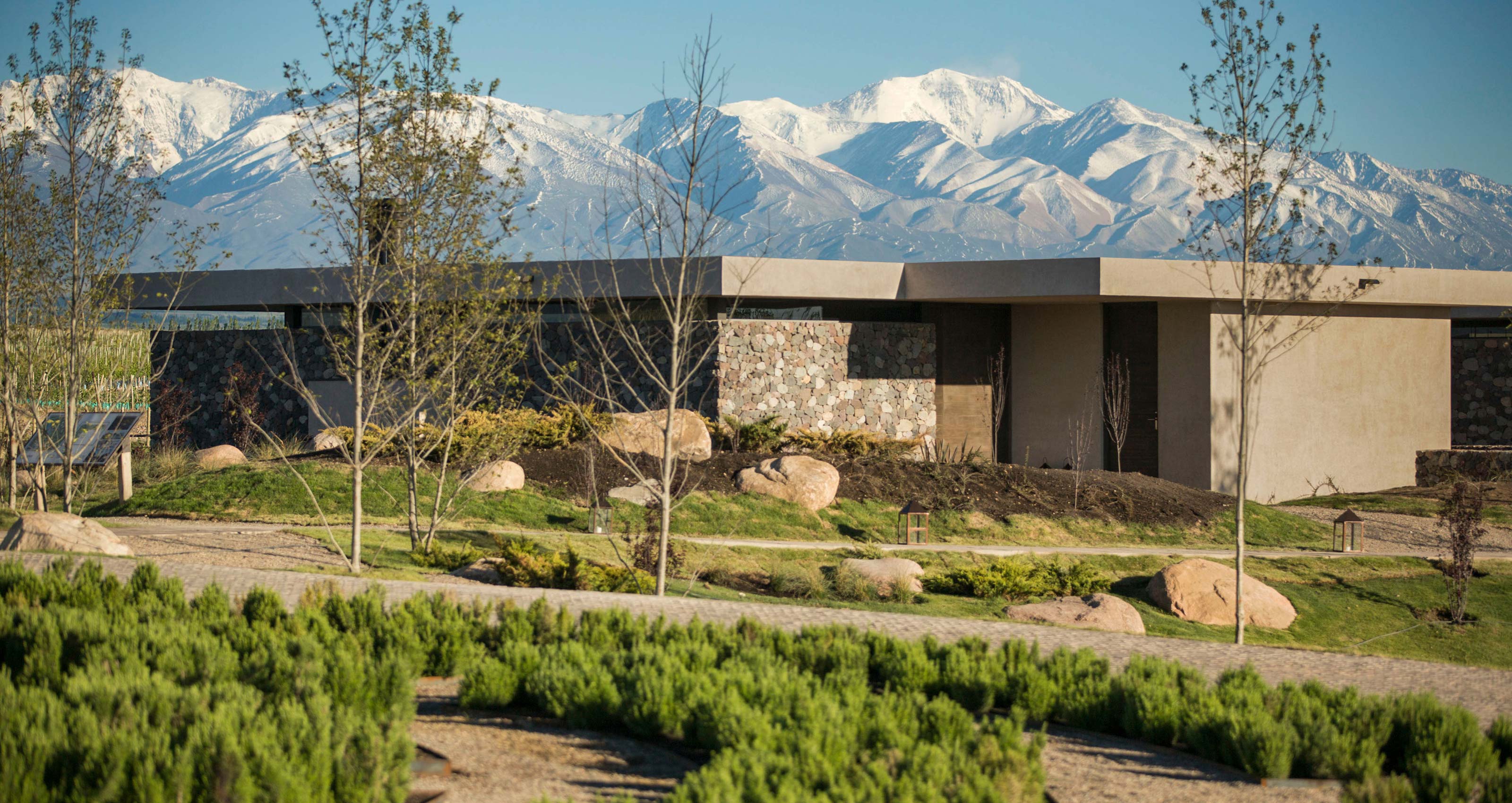 Vines of Mendoza, Chile